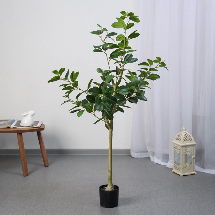 Дерево декоративное FICUS