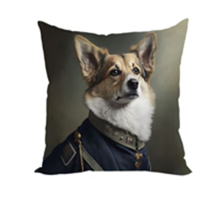 Наволочка CORGI