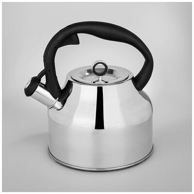 Чайник AGNESS 2800 мл