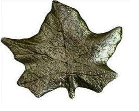 Блюдо MAPLE
