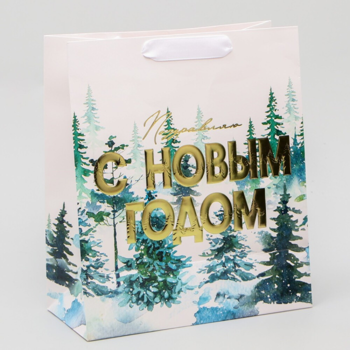 Пакет подарочный M