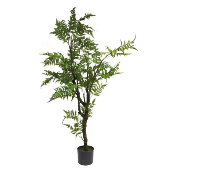 Дерево декоративное Fern