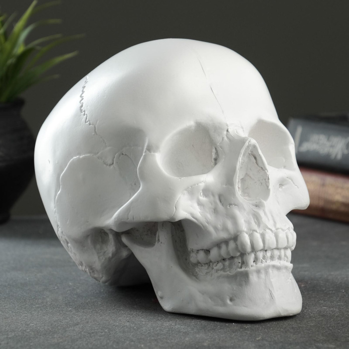 Копилка SCULL