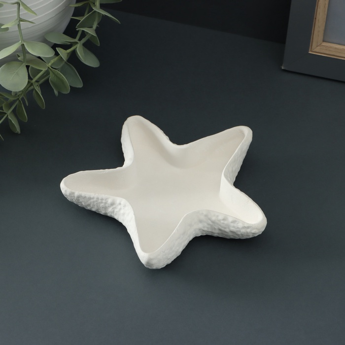 Подставка для бижутерии Starfish