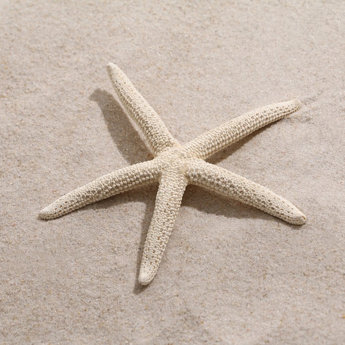 Фигурка Starfish