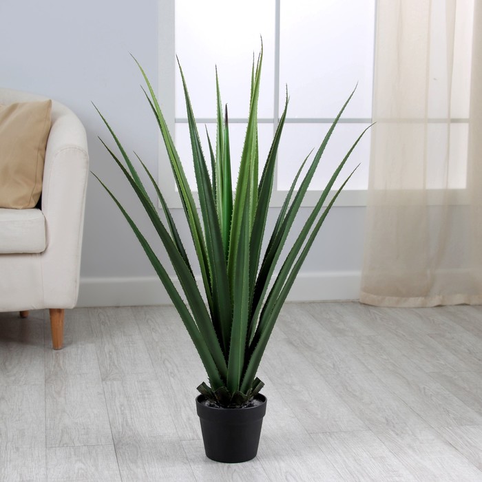 Дерево декоративное YUCCA