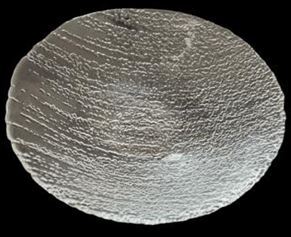 Блюдо MARSEILLE