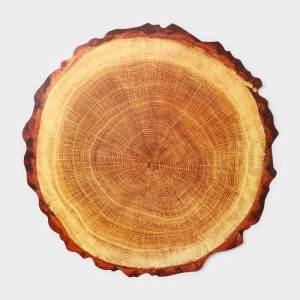 Персонник Tree