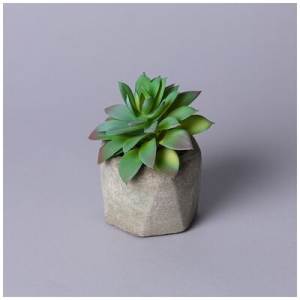 Цветок искусственный в горшке SUCCULENT: купить за 690 руб  Цветок искусственный в горшке SUCCULENT