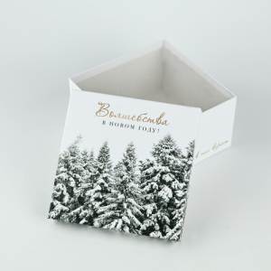 Коробка подарочная M(фото2)