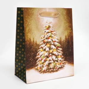 Пакет подарочный S