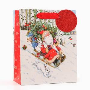 Пакет подарочный S