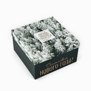 Коробка подарочная XS(фото1)