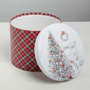 Коробка подарочная M