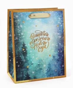 Пакет подарочный S