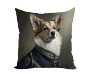 Наволочка CORGI