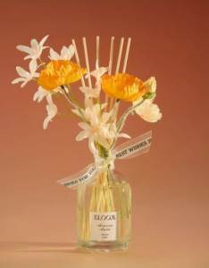 Диффузор Arya Moroccan Amber 250 мл