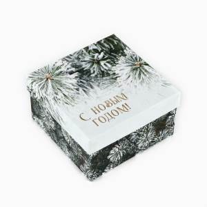 Коробка подарочная XL(фото1)