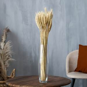 Сухоцвет WHEAT