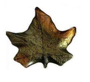 Блюдо MAPLE: купить за 1490 руб  Блюдо MAPLE