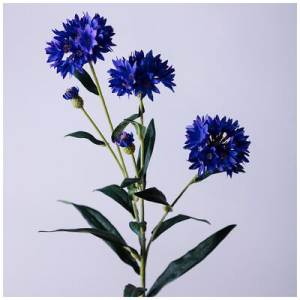 Цветок искусственный KNAPWEED: купить за 690 руб  Цветок искусственный KNAPWEED