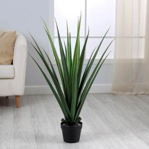 Дерево декоративное YUCCA