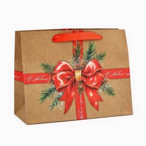 Пакет подарочный S